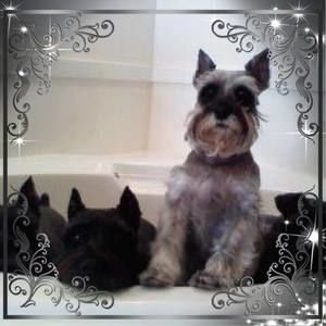 Meet your Posher, Kathy